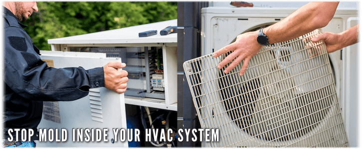 HVAC Mold Removal Staten Island